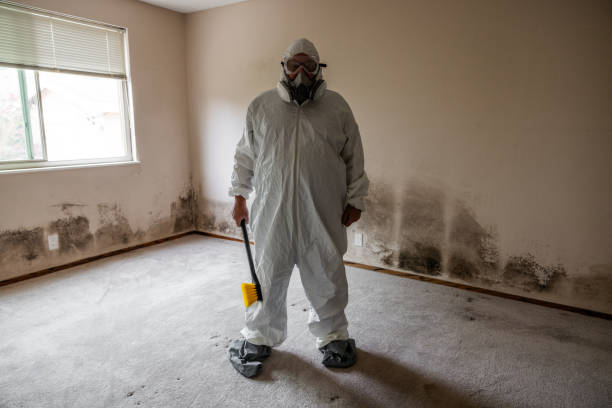 Best Biohazard Mold Removal  in Upland, CA